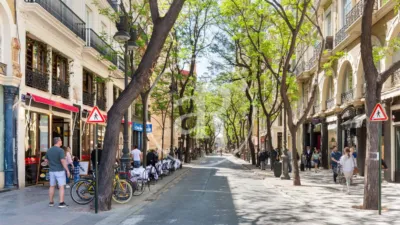 Apartment in La Seu photo 5