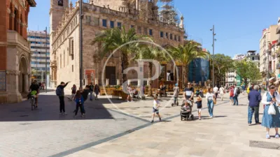 Apartment in La Seu photo 11