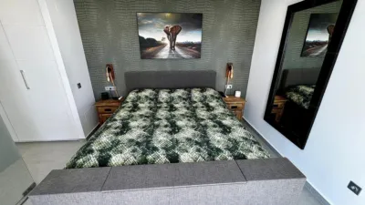 Chalet in Algorfa photo 46