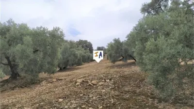 Rustic Finca in Iznájar photo 2