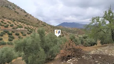 Rustic Finca in Iznájar photo 9