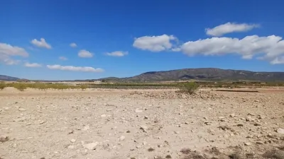 Terreno en venta en El Pinós - Pinoso - Vista 4