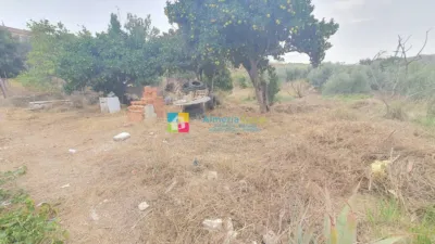 Rustic Finca in Albox photo 15