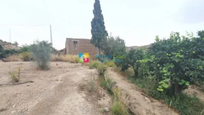 Rustic Finca in Albox photo 17