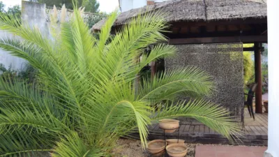 House in Murla photo 35