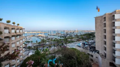 Apartment in Palma de Mallorca photo 3