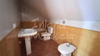 Apartment in Alcaucín photo 5