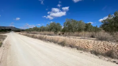 Terreno en venta en El Pinós - Pinoso - Vista 2