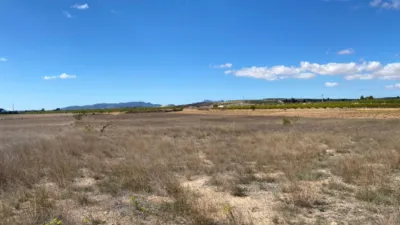 Terreno en venta en El Pinós - Pinoso - Vista 3
