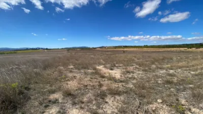 Terreno en venta en El Pinós - Pinoso - Vista 4
