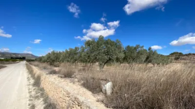 Terreno en venta en El Pinós - Pinoso - Vista 5
