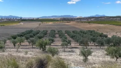 Terreno en venta en El Pinós - Pinoso - Más