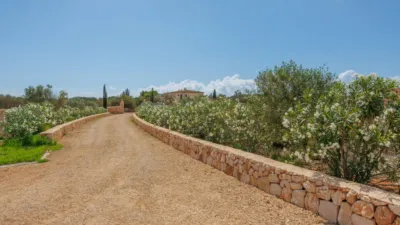 Rustic Finca in Santanyí photo 10