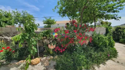 Rustic Finca in Sierro photo 31