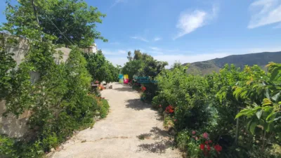 Rustic Finca in Sierro photo 32