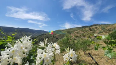 Rustic Finca in Sierro photo 33