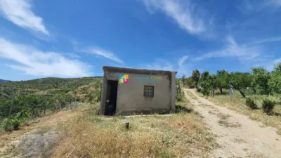 Rustic Finca in Sierro photo 37