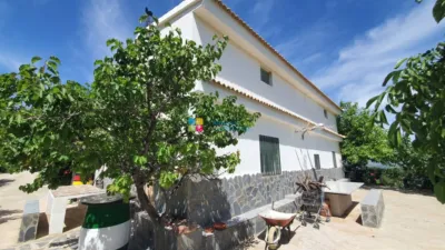 Rustic Finca in Sierro photo 3