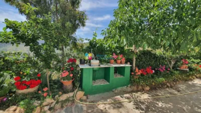 Rustic Finca in Sierro photo 44