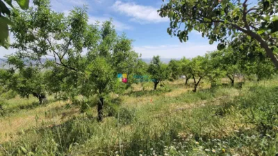 Rustic Finca in Sierro photo 45