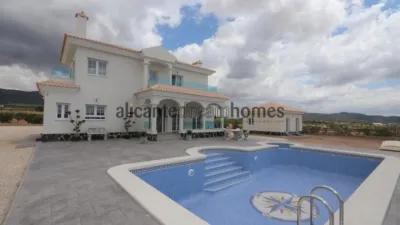 Chalet in El Pinós - Pinoso photo 29