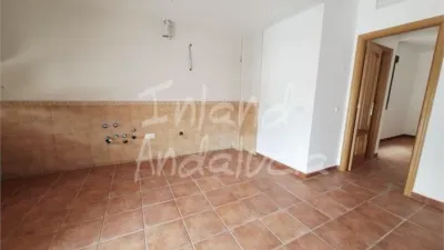 Apartment in Alcaucín photo 3
