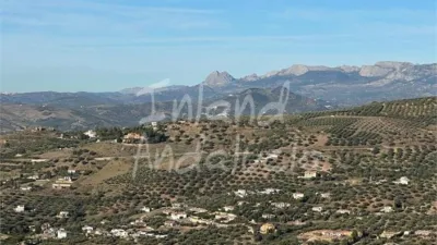 Apartamento en Alcaucín photo 10