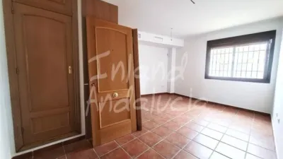 Apartment in Alcaucín photo 4