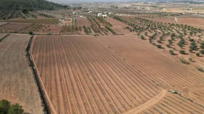 Terreno en venta en El Pinós - Pinoso - Vista 2