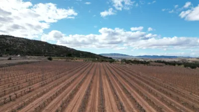 Terreno en venta en El Pinós - Pinoso - Vista 3