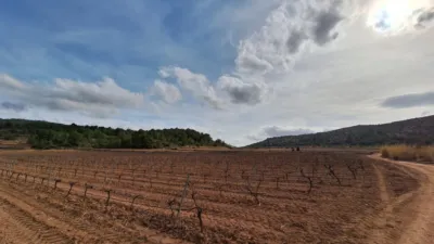 Terreno en venta en El Pinós - Pinoso - Vista 4