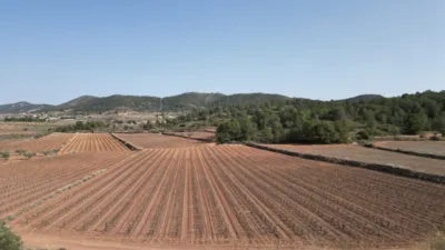 Terreno en venta en El Pinós - Pinoso - Vista 5