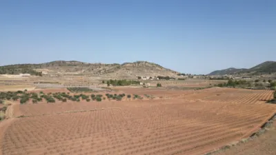Terreno en venta en El Pinós - Pinoso - Más