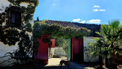Rustic Finca in Pilas de Algaida photo 12