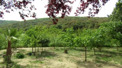 Rustic Finca in Pilas de Algaida photo 14