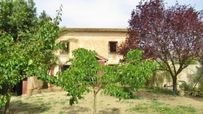 Rustic Finca in Pilas de Algaida photo 16