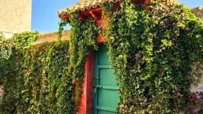 Rustic Finca in Pilas de Algaida photo 18