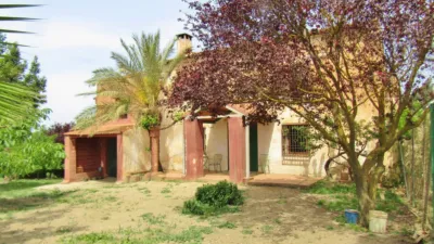 Rustic Finca in Pilas de Algaida photo 20