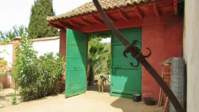 Rustic Finca in Pilas de Algaida photo 24