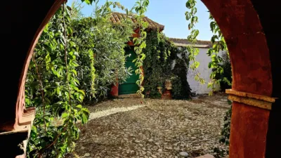 Rustic Finca in Pilas de Algaida photo 25