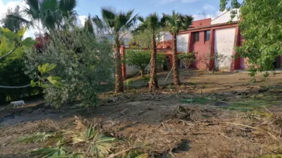 Rustic Finca in Pilas de Algaida photo 27