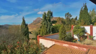 Rustic Finca in Pilas de Algaida photo 28