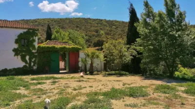 Rustic Finca in Pilas de Algaida photo 32