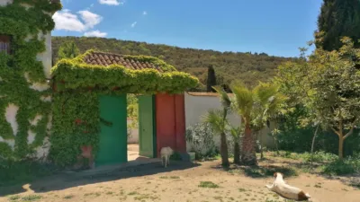 Rustic Finca in Pilas de Algaida photo 35