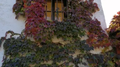 Rustic Finca in Pilas de Algaida photo 3