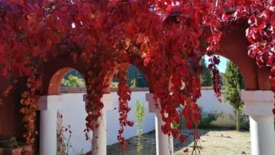 Rustic Finca in Pilas de Algaida photo 4