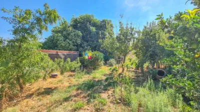 Rustic Finca in Lubrín photo 37