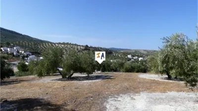 Rustic Finca in El Sabariego photo 5