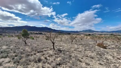 Terreno en venta en Salinas - Vista 5