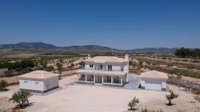 Chalet in El Pinós - Pinoso photo 3